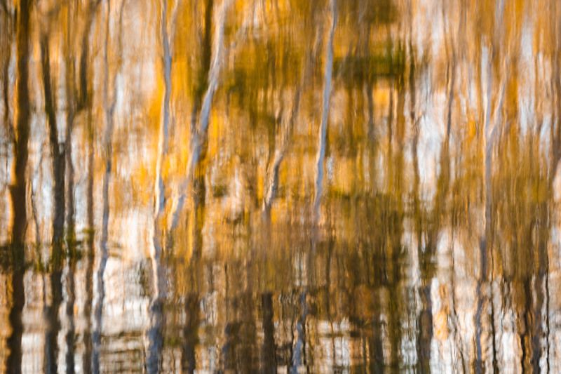 Осенние абстракции. В отражении воды…  Autumn abstractions. In the reflection of water...