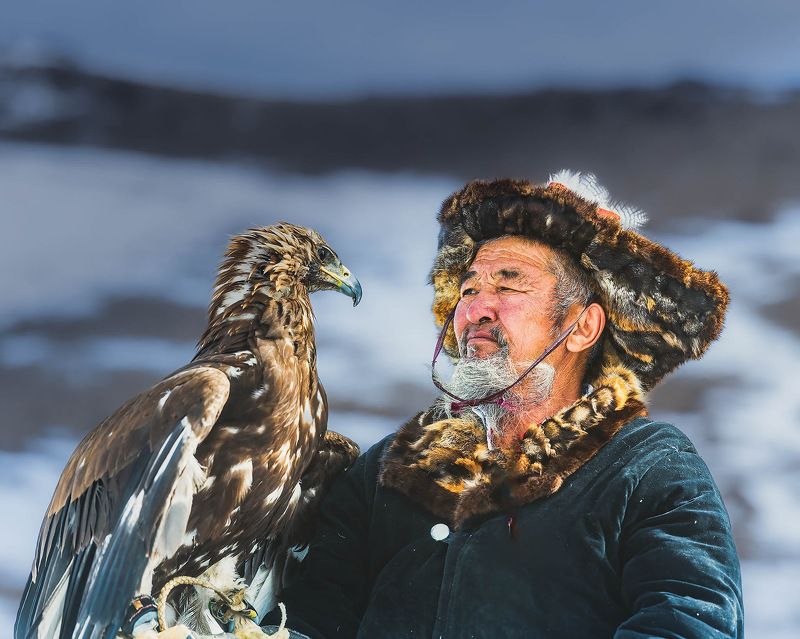 Mongolia. Golden Eagle 23