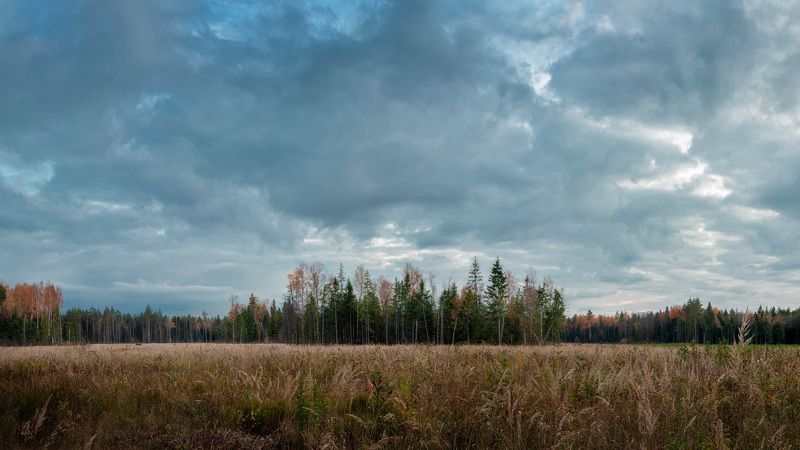 Осенняя лесная панорама