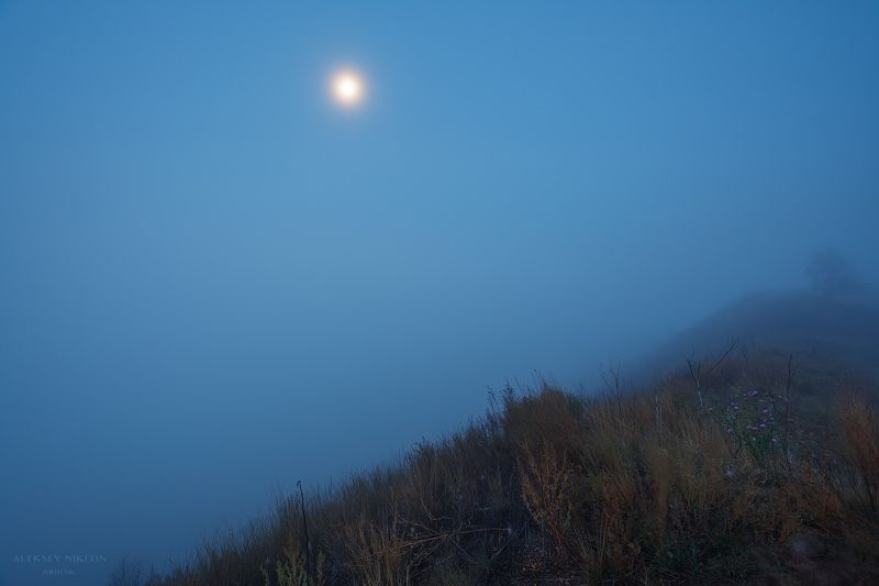 Луна в голубом тумане