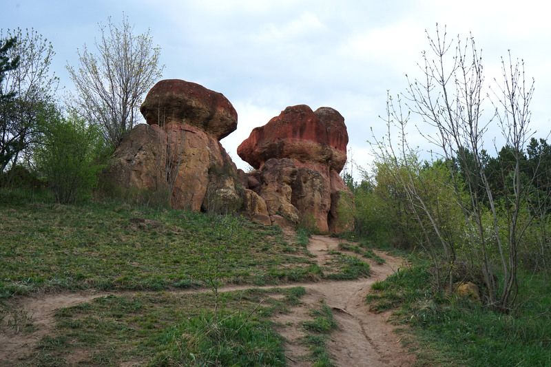 камни-грибы