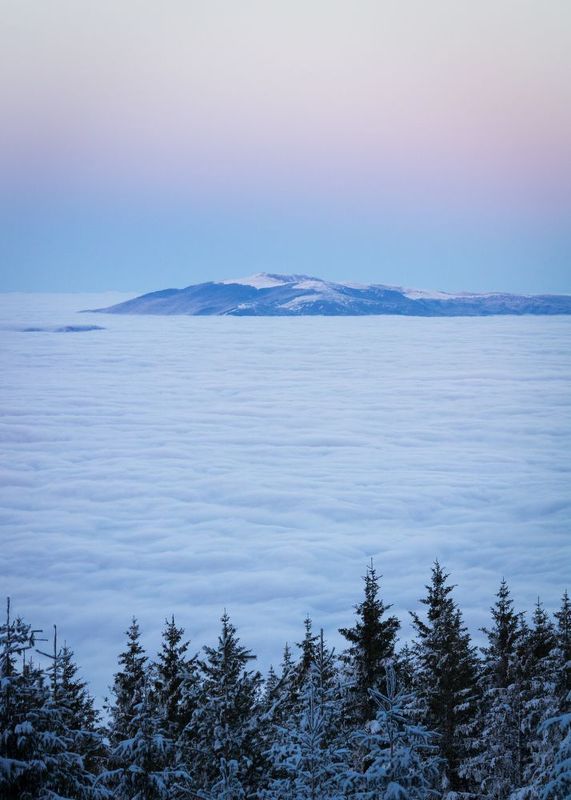 Island in the sea of clouds