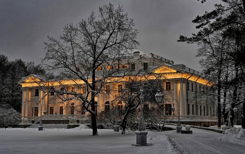 Елагин дворец зимним вечером