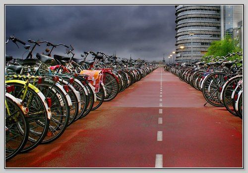 Амстердам. Про велосипеды.