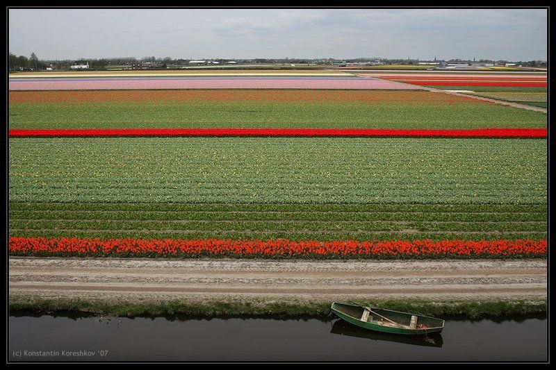 нидерланды, голландия, lisse, keukenhof, кейкенхоф, тюльпаны, лодка, мельницы, holland, windmills, канал Голландский коверphoto preview