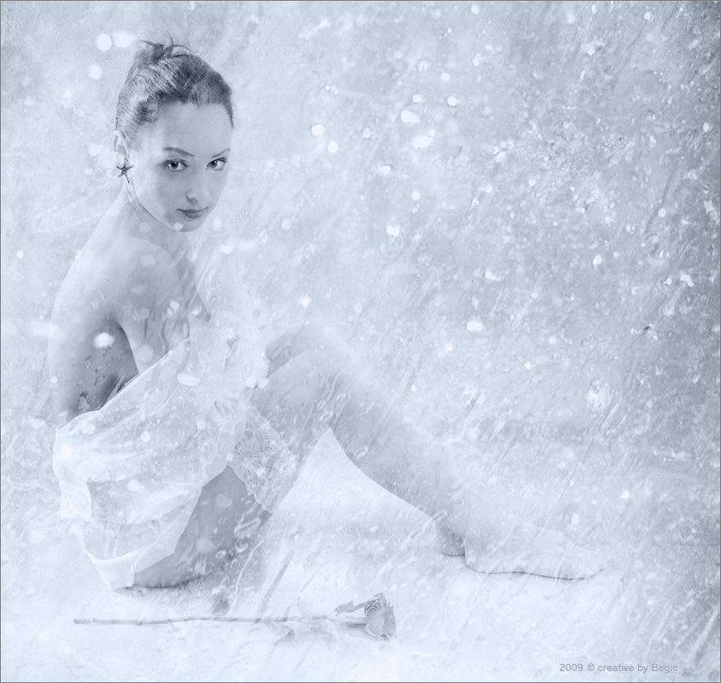 снег, роза, холод, девушка, зима, метель, ню, Холодная розаphoto preview
