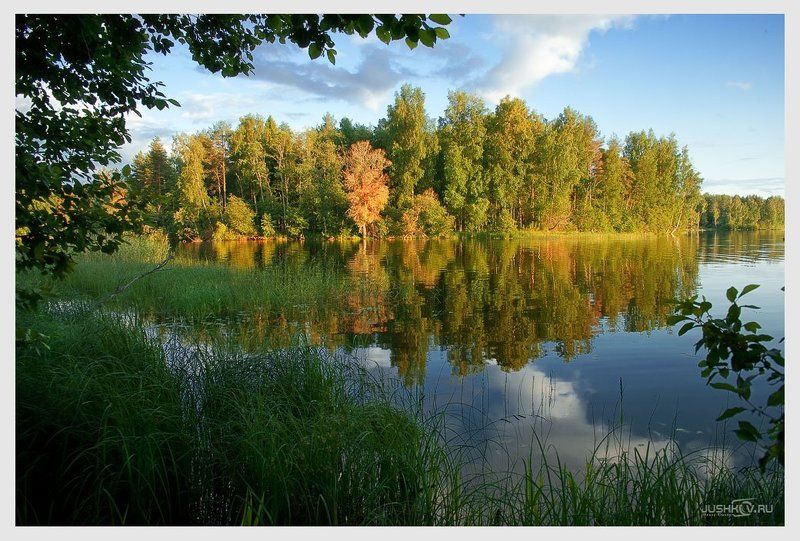 Фотопейзажи Новгородской области