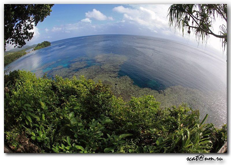 papua new guinea, round world, ocean, рифы, reef, папуа The Round World *Papua**photo preview