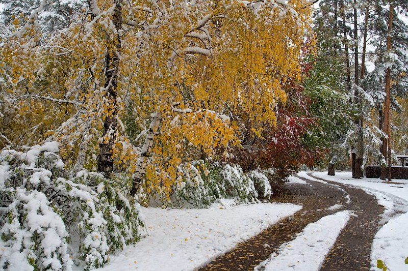 бурятия, улан-удэ, сентябрь, снег, снегопад photo preview