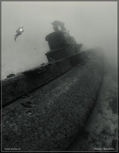 Последняя гавань (подводное фото)