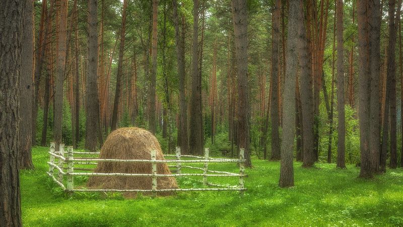 lonely haystack