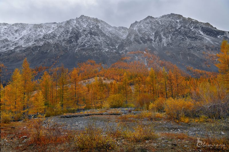 Фотосессия на Алтае осенью