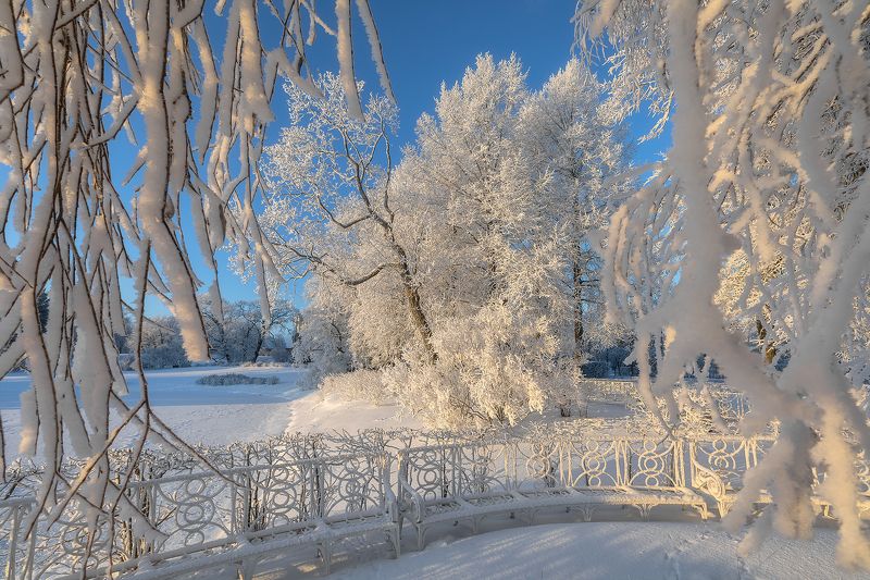 Екатерининский парк в белой глазури декабря.