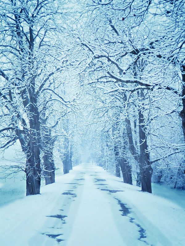 Snowy promenade