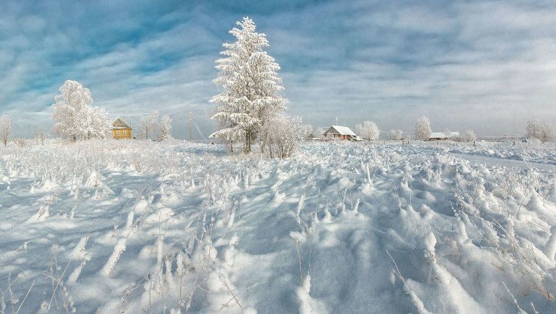 Frosty Morning