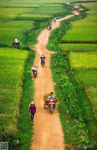 Rural Lifestyle in Vietnam