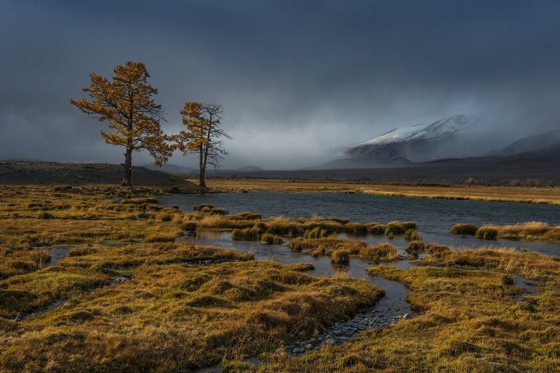 KUTYGIN EDUARD, Russia