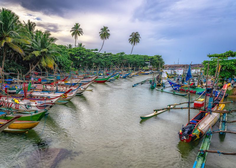 Гавань рыбаков, Шри-Ланка