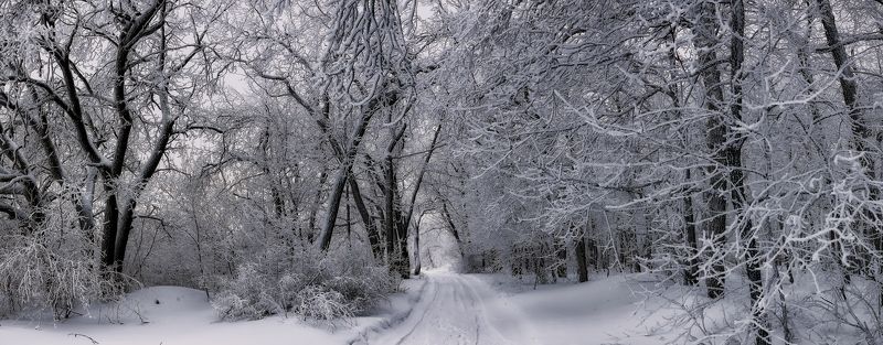 Дорога через зимний лес...