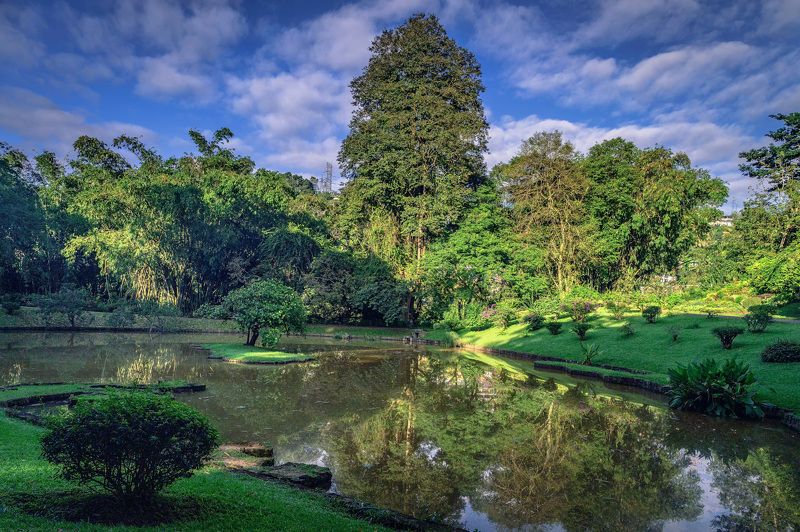Королевский ботанический сад на Шри-Ланке