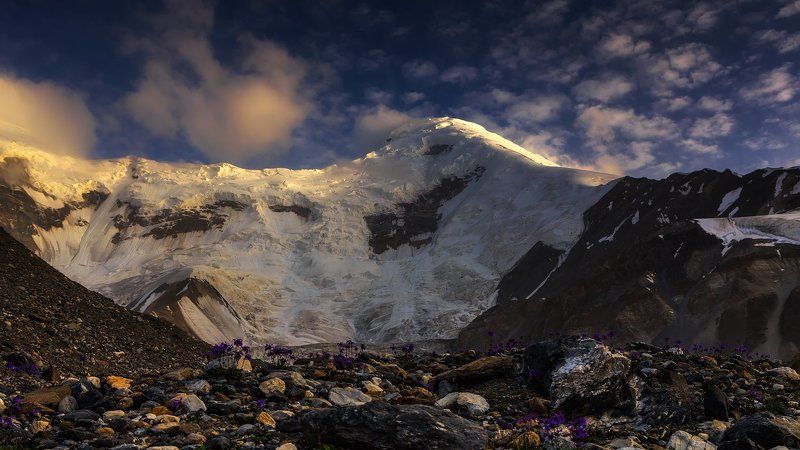 казахстан, высота, вечер, пейзаж, горы Лед и цветыphoto preview