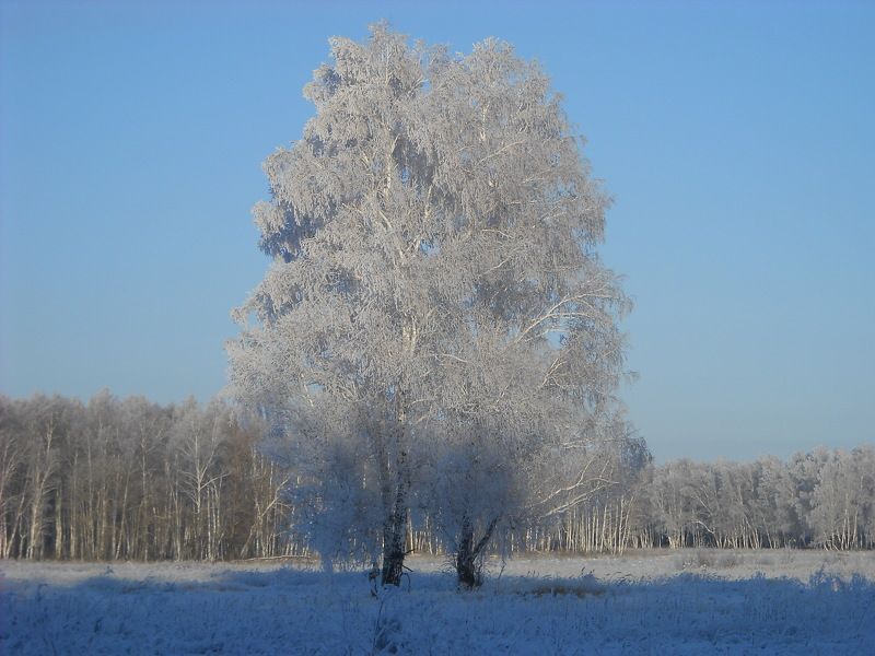 албакова антонина петровна, Russia