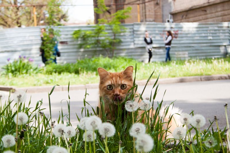 Андрей, Ukraine