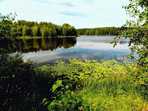 Пылкозеро на русском севере