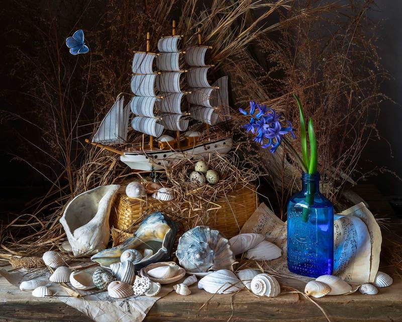 Nautical Fantasia, with North Carolina Rapans and Hyacinth