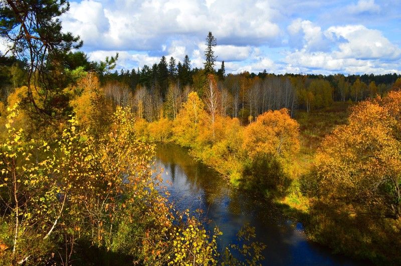 Terentiew Vladimir, Russia