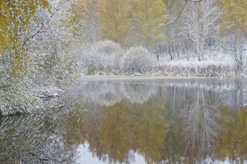 Арина, Russia