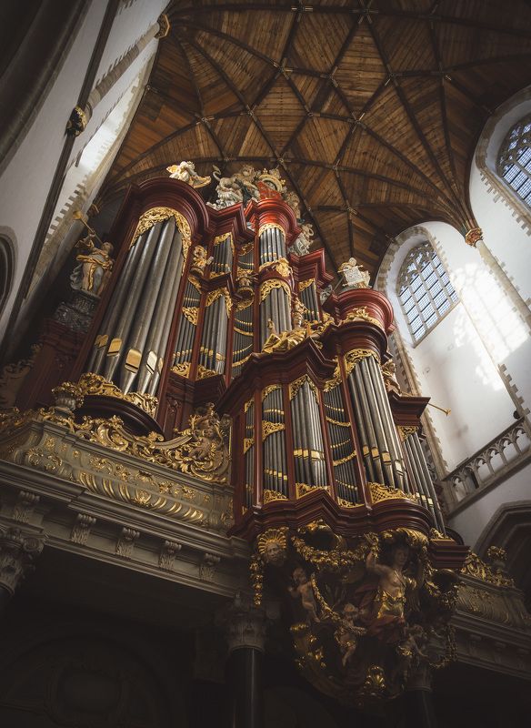 Haarlem organ.