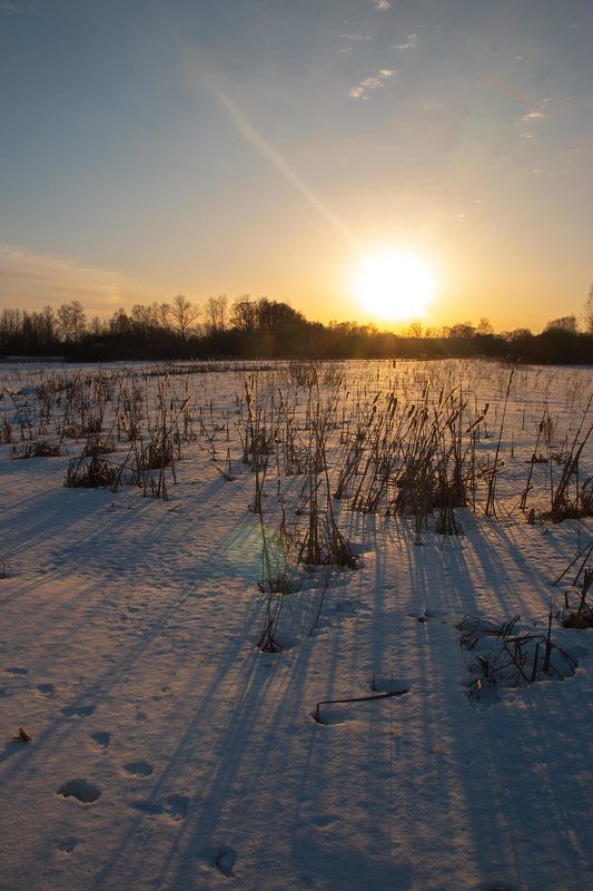 Снежнывй закат на болоте