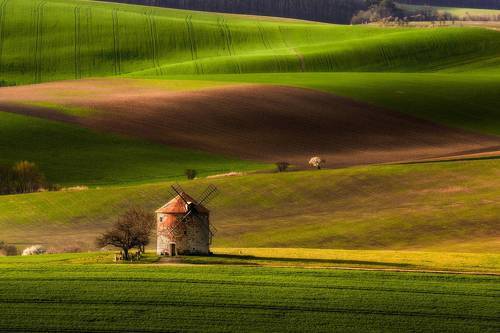 Spring in Moravia