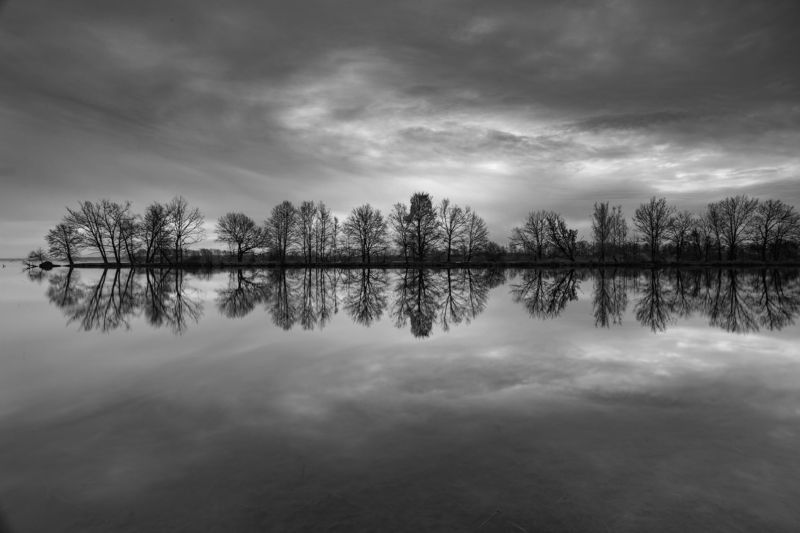 Similar photos  View All   Featured in these galleries  LANDSCAPE - black and white 24      Damian Cyfka         Clouds, trees and water