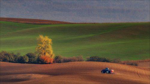 Wavy autumn fields