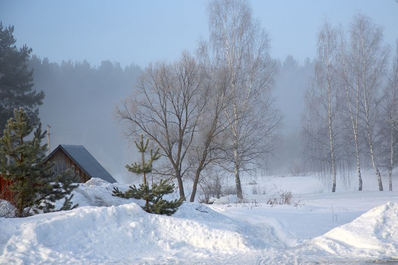 Нежное утро