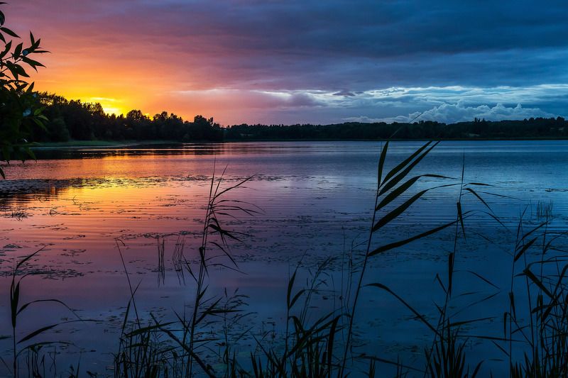 Жижица.