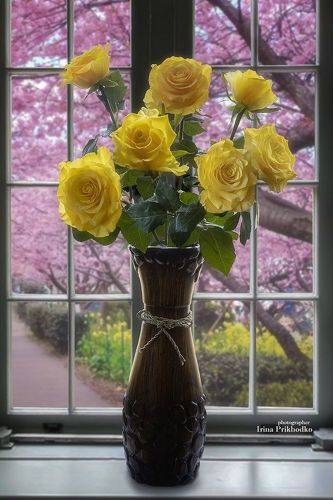 Букет желтых роз на фоне окна