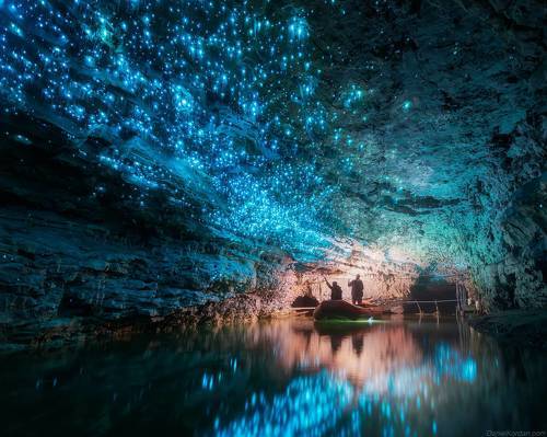 New Zealand Glow worm caves