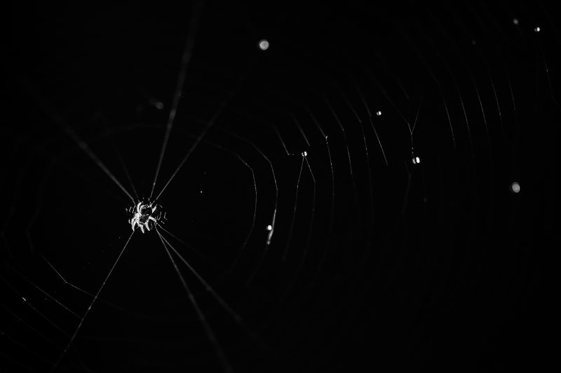 Солнечная система паука