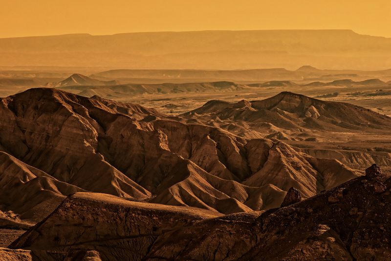 Negev desert, sunrise (01.2010 year)