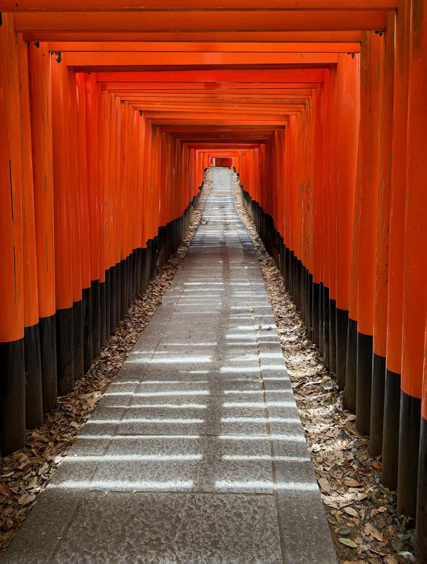 Киото: святилище с красными воротами