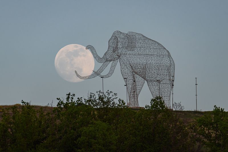 Лунный слон