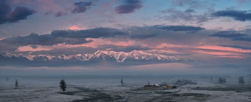 Холодное утро в Курайской степи / Cold morning in the Kurai steppe.
