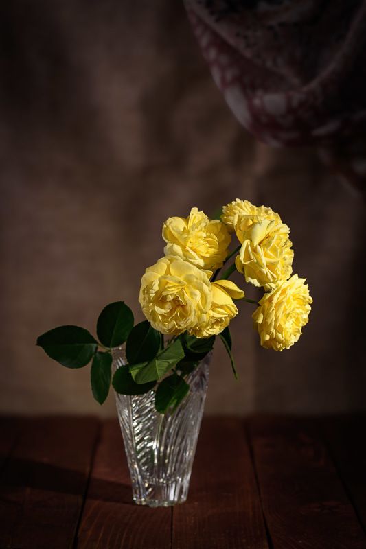 Желтые розы/Yellow roses