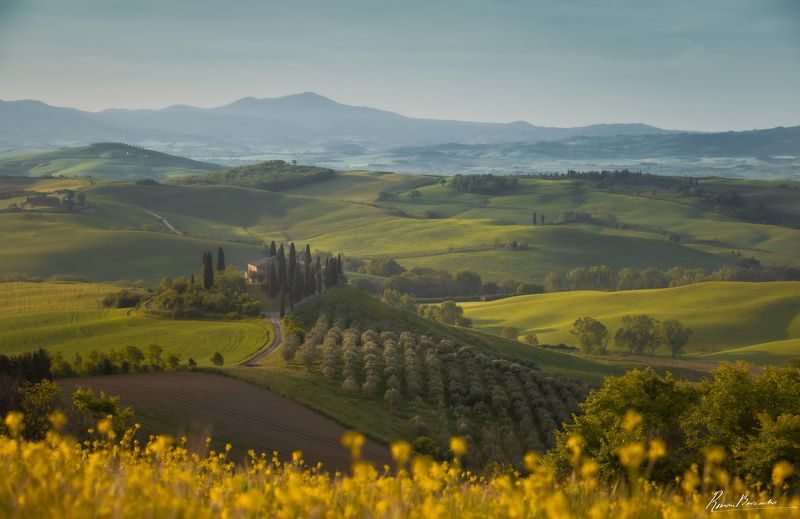 Tuscany Hills in Spring