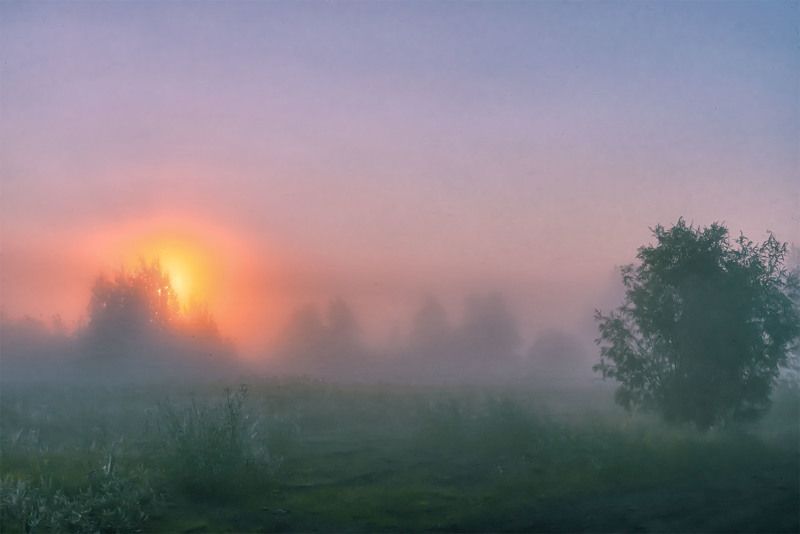 Утренний туман