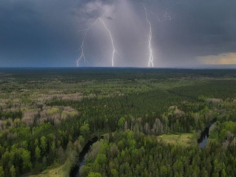 Гроза над лесом в Ленинградской области.