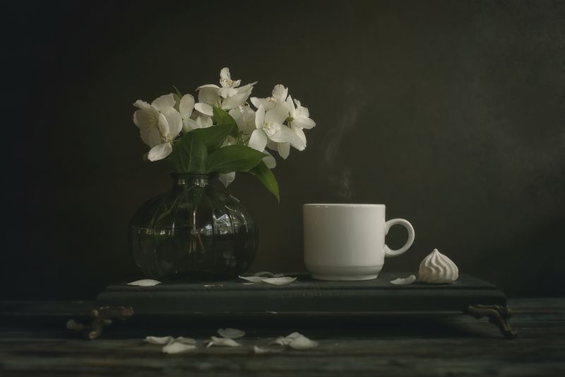 Цветы чубушника и чашка кофе
